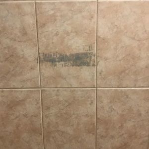 Meet your Posher, Bertie